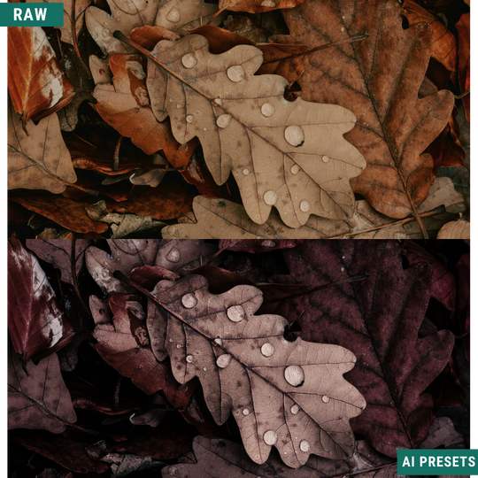 Fall AI Color Lightroom Toolkit