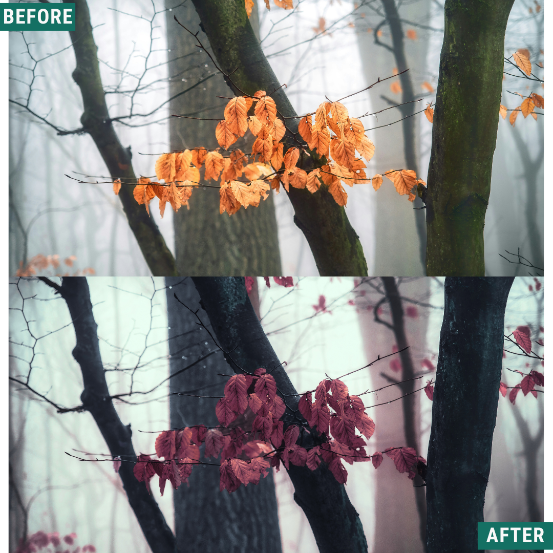 Blue Fall LIMITED Lightroom Presets Pack
