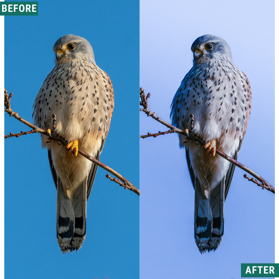 Light Blue LIMITED Lightroom Presets Pack