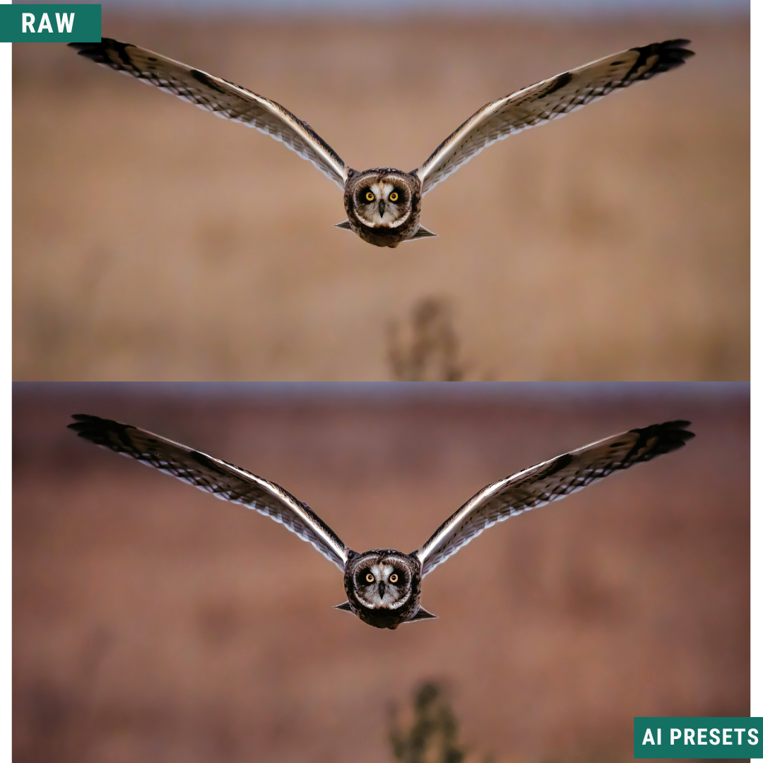 Fall AI Color Lightroom Toolkit