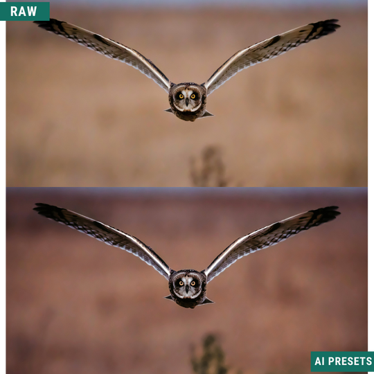 Fall AI Color Lightroom Toolkit