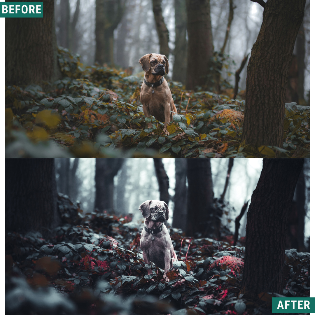 Blue Fall LIMITED Lightroom Presets Pack