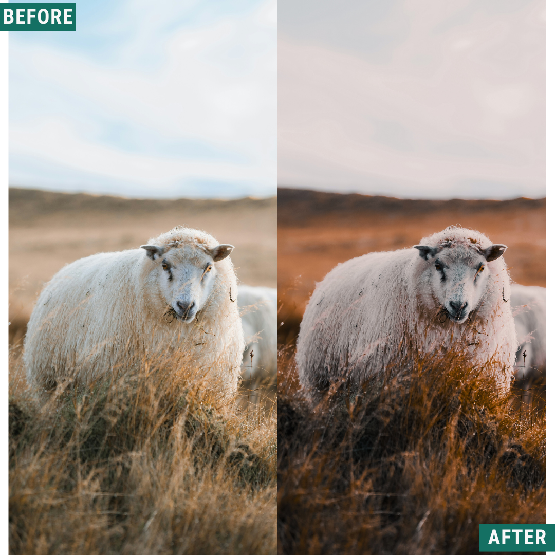 Fall Hour LIMITED Lightroom Presets Pack