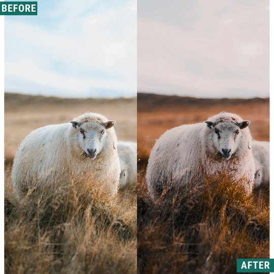 Fall Hour LIMITED Lightroom Presets Pack