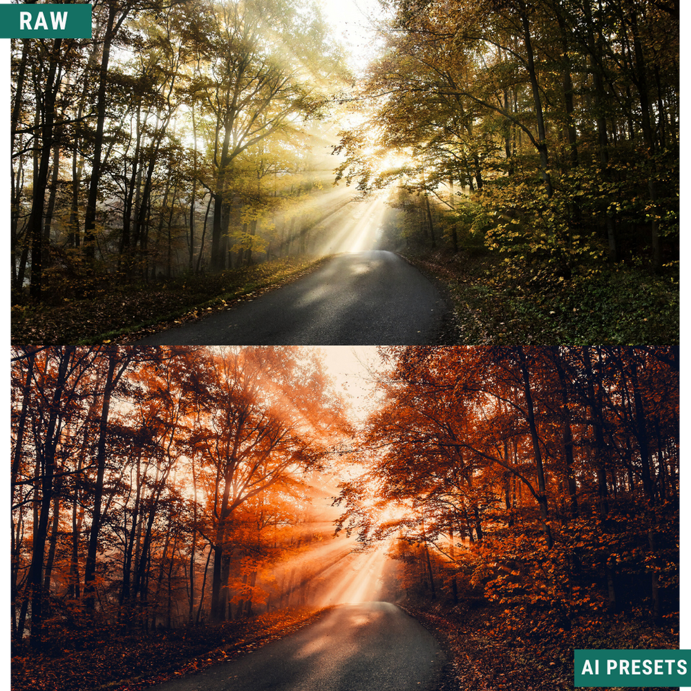 Fall AI Color Lightroom Toolkit