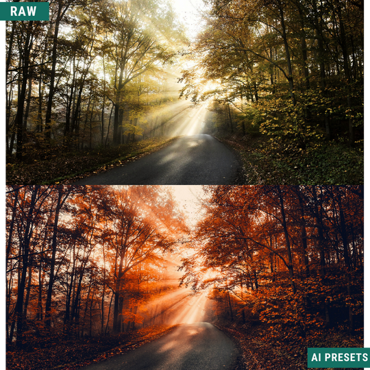 Fall AI Color Lightroom Toolkit