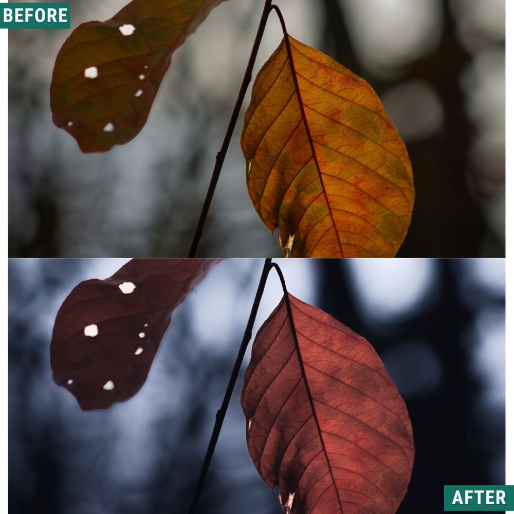 Blue Fall LIMITED Lightroom Presets Pack
