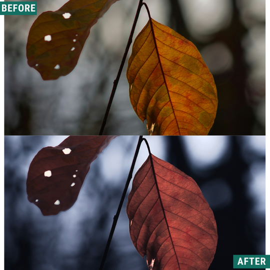 Blue Fall LIMITED Lightroom Presets Pack