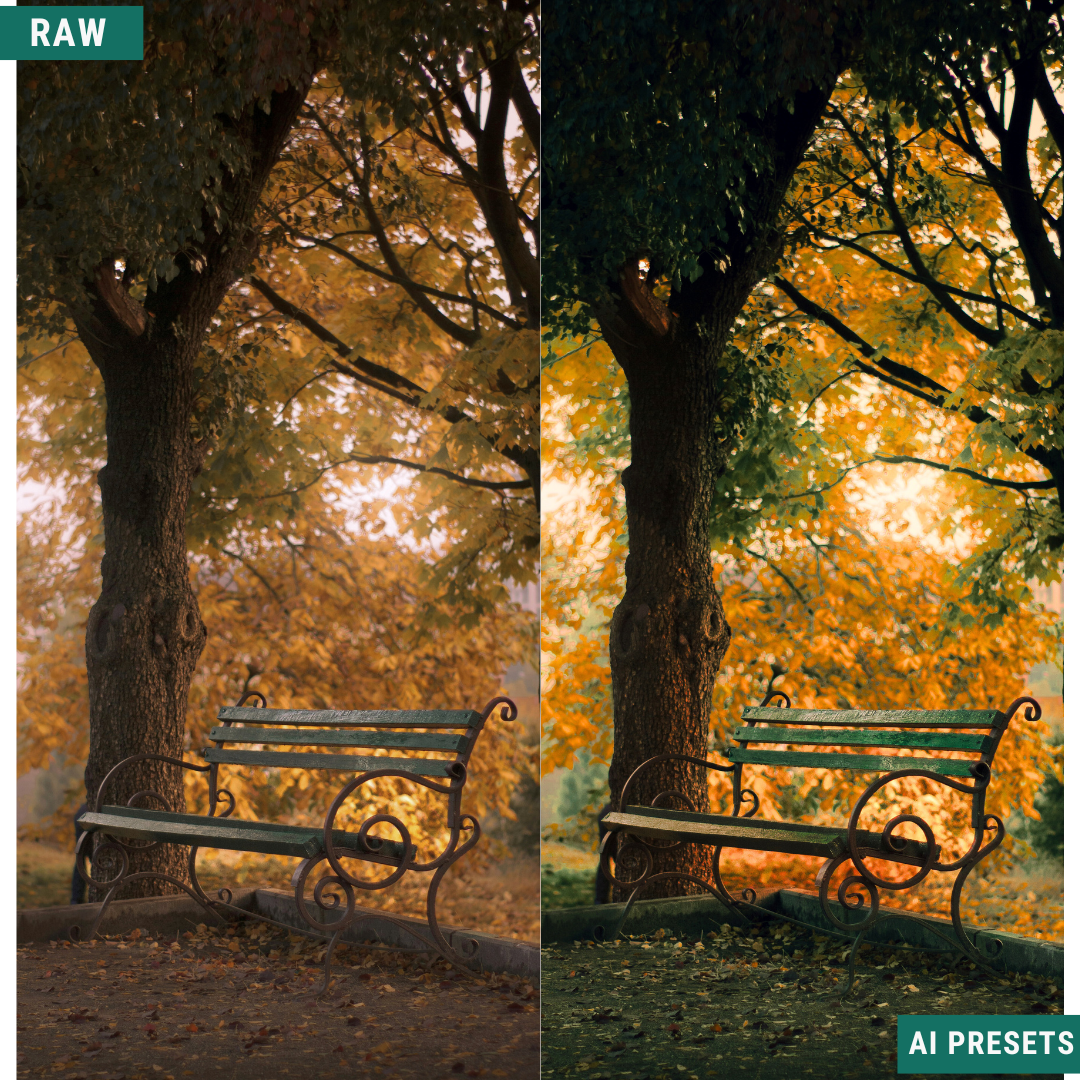 Fall AI Color Lightroom Toolkit