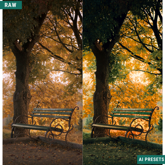 Fall AI Color Lightroom Toolkit