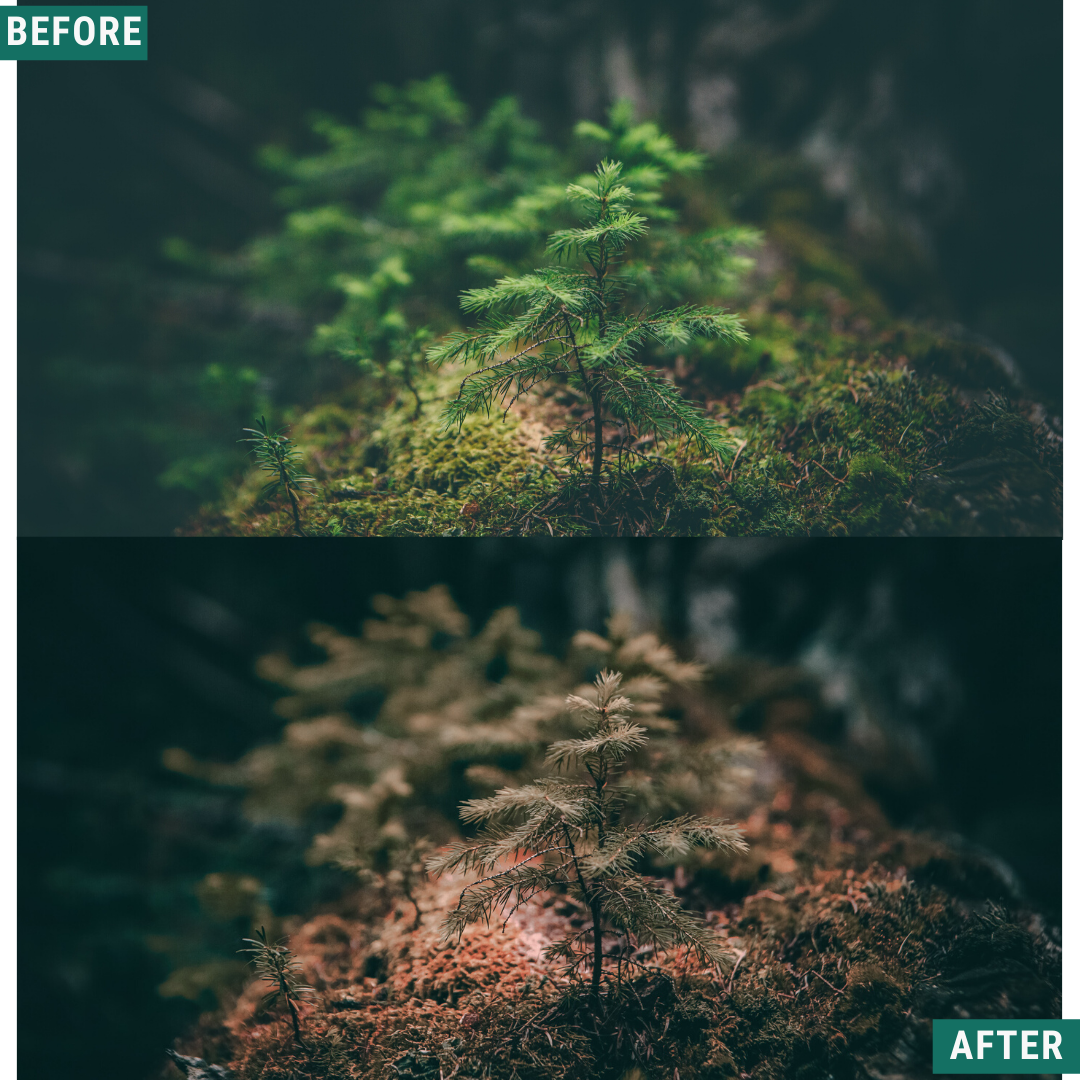 Rustic Autumn Lightroom-Presets-Paket