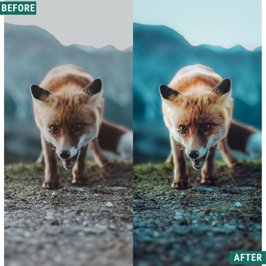 Spring Blues Lightroom Presets Pack