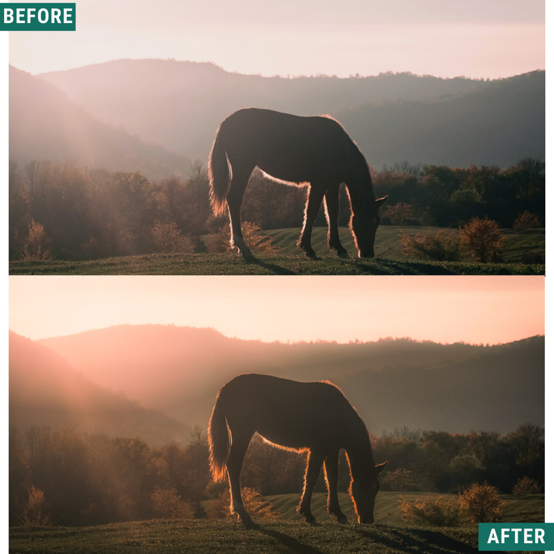 Dusk & Dawn Capture One & LUT Presets Pack