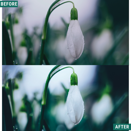 Spring Blues Lightroom Presets Pack