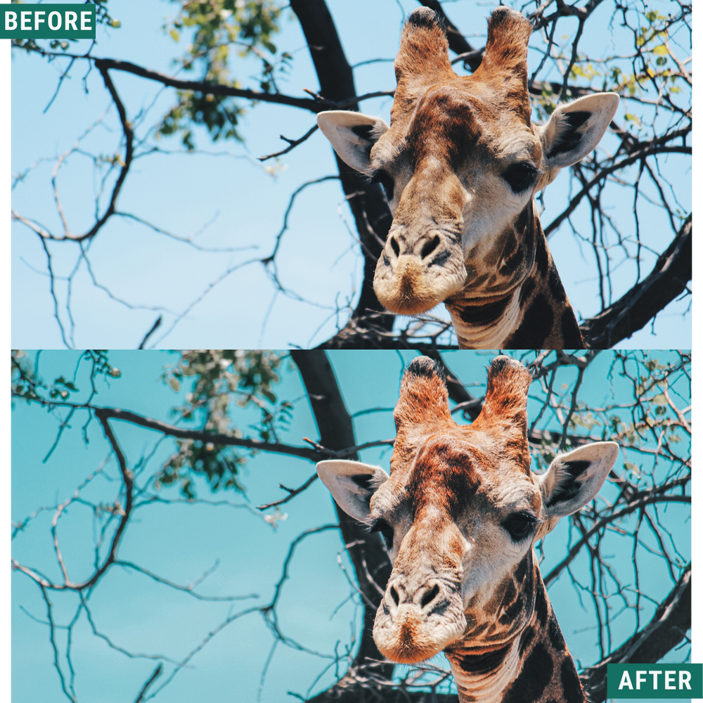 Aqua Tones Lightroom-Presets-Paket