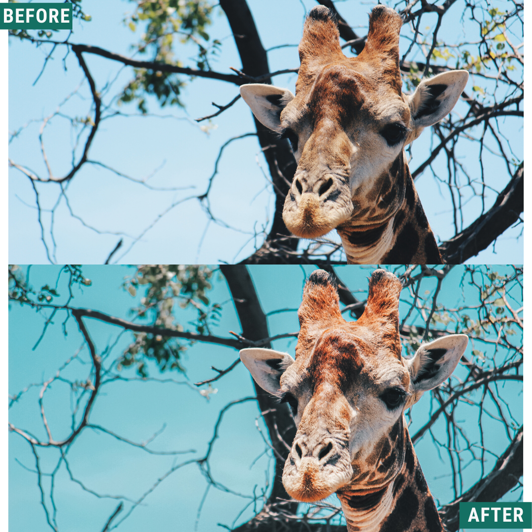 Aqua Tones Lightroom-Presets-Paket