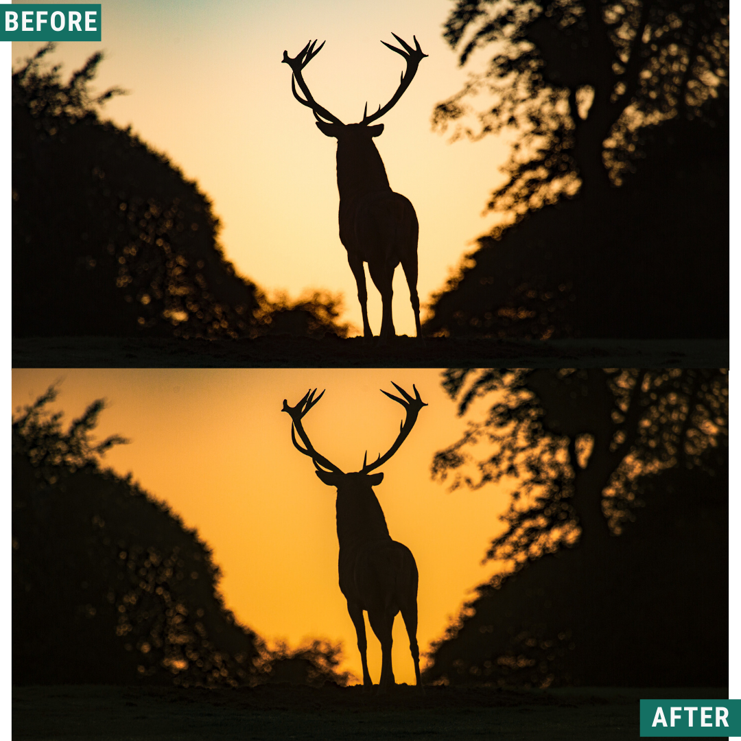 Dusk & Dawn Lightroom Presets Pack