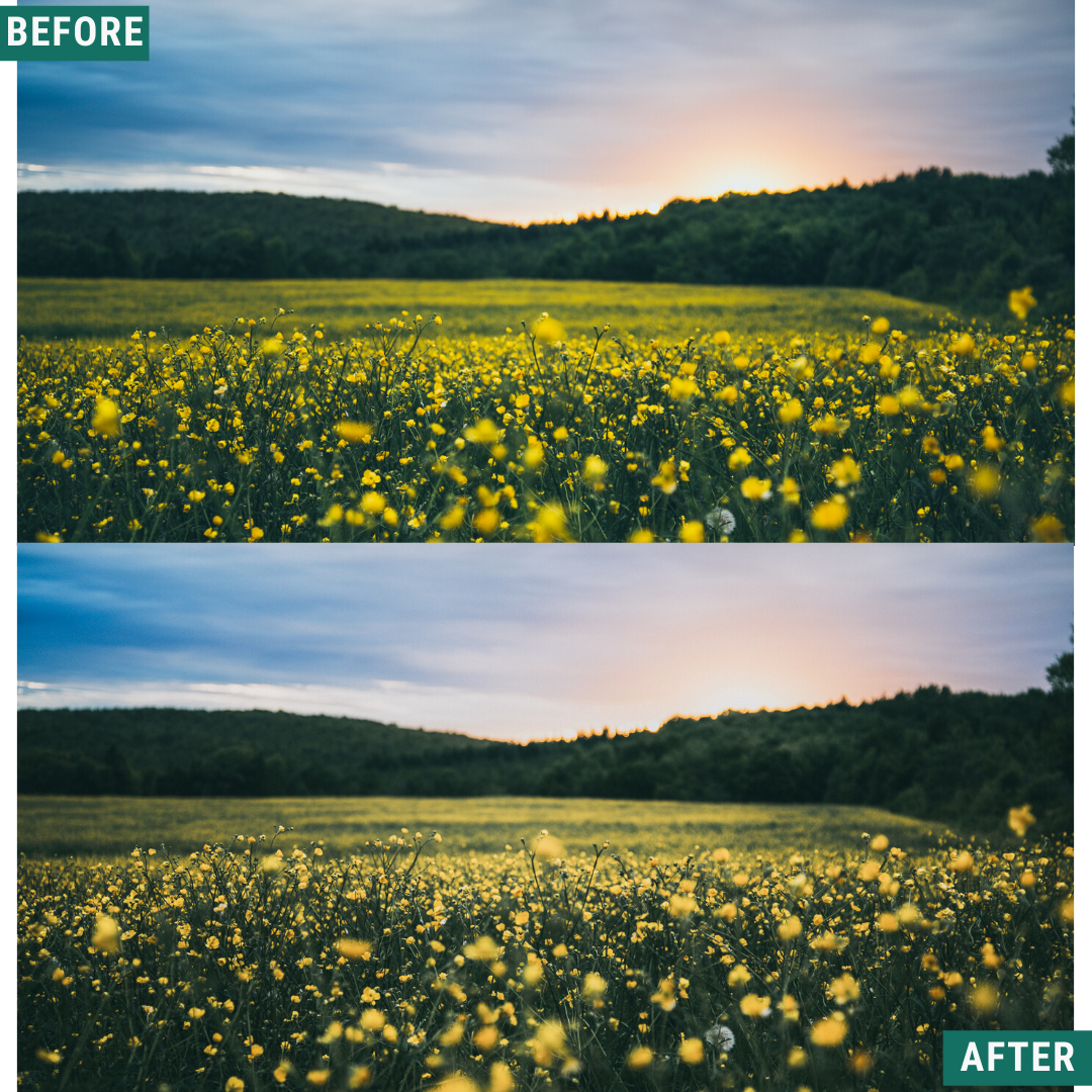 Classic Vista Lightroom Presets Pack