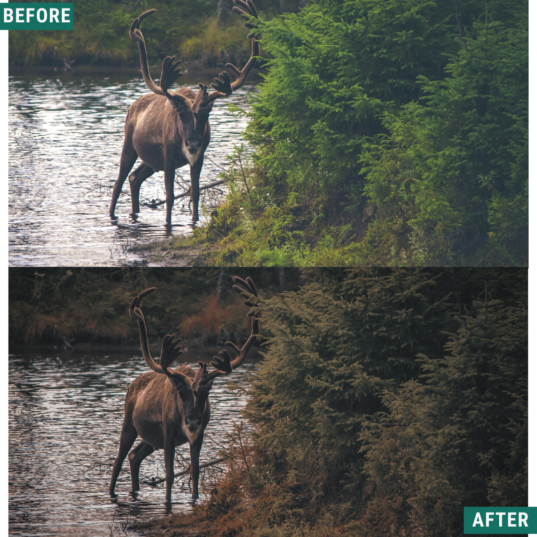 Rustic Autumn Lightroom-Presets-Paket