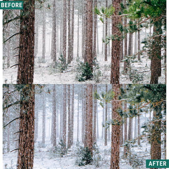 Frosty Blues Lightroom Presets Pack