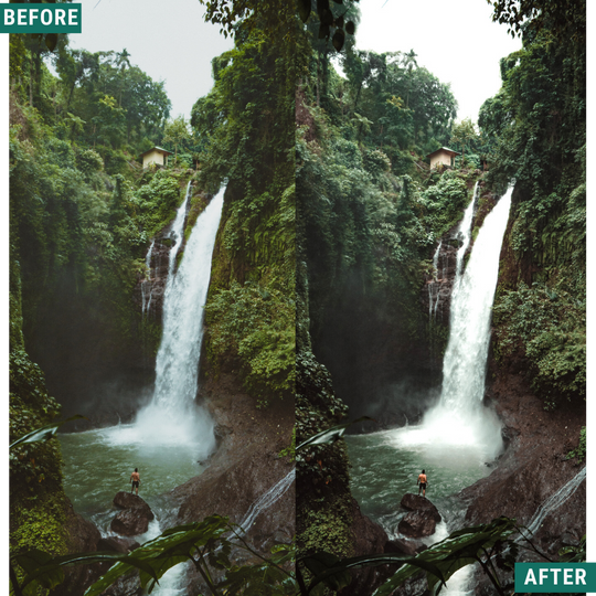 Moody Forest Capture One & LUT Presets Paket