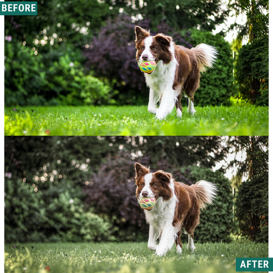 Classic Vista Lightroom-Presets-Paket