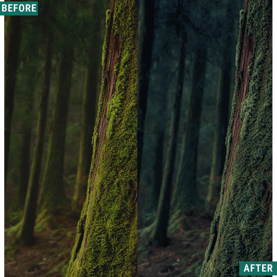 Moody Forest Capture One & LUT Presets Paket