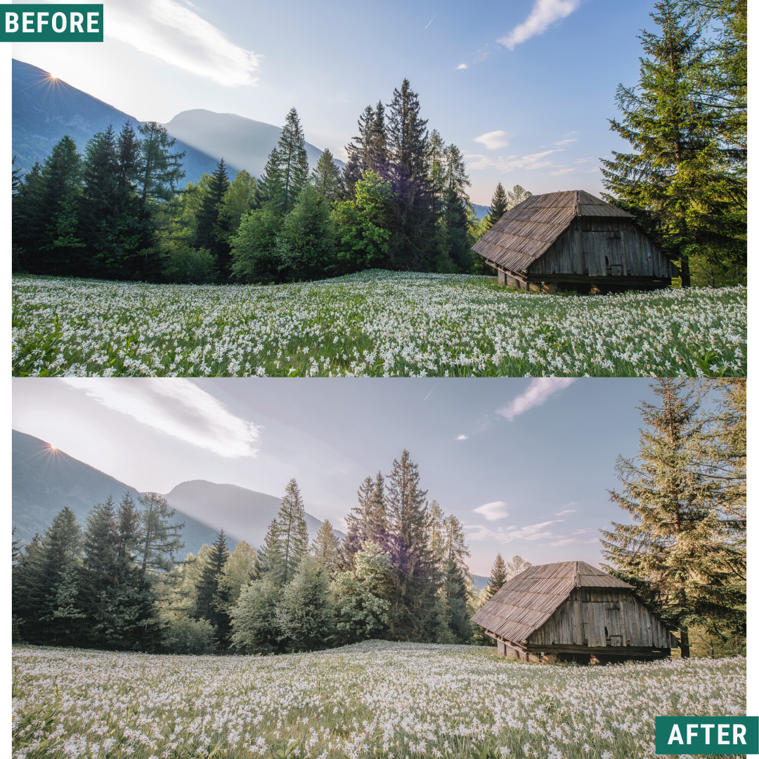 Warm Greens Lightroom Presets Pack