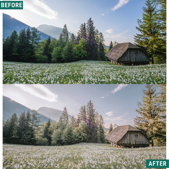 Warm Greens Lightroom Presets Pack