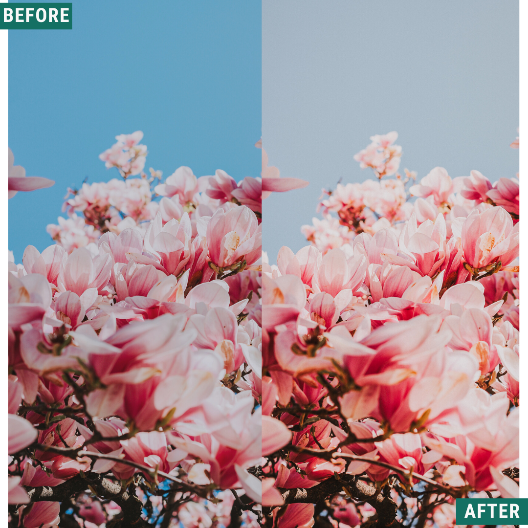 Classic Vista Lightroom-Presets-Paket