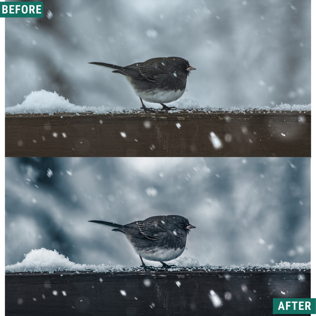 Glacial Blues Lightroom-Presets-Paket