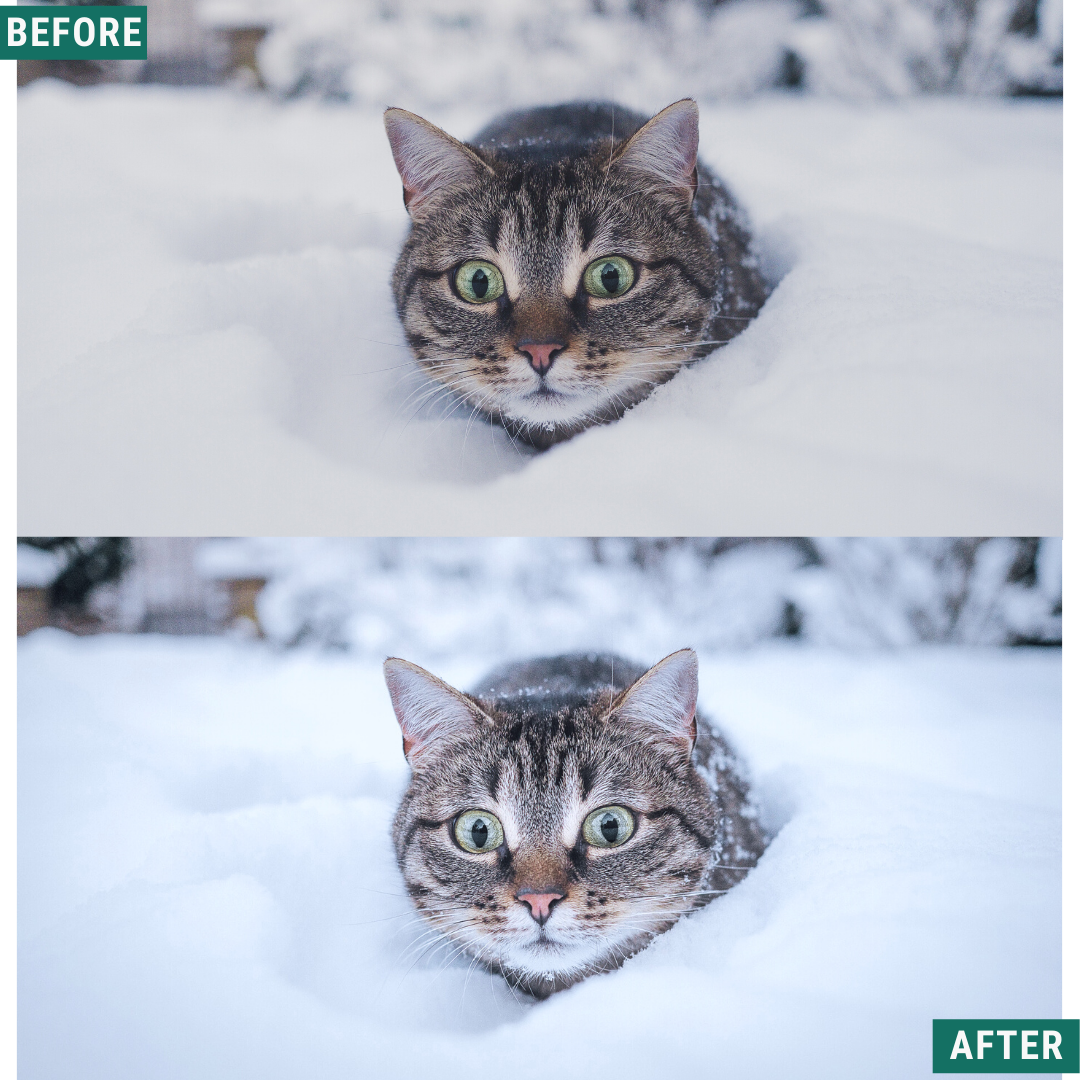 Frosty Blues Lightroom-Presets-Paket