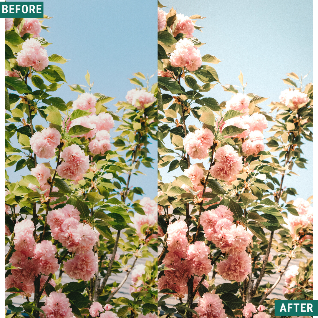 Classic Vista Lightroom-Presets-Paket