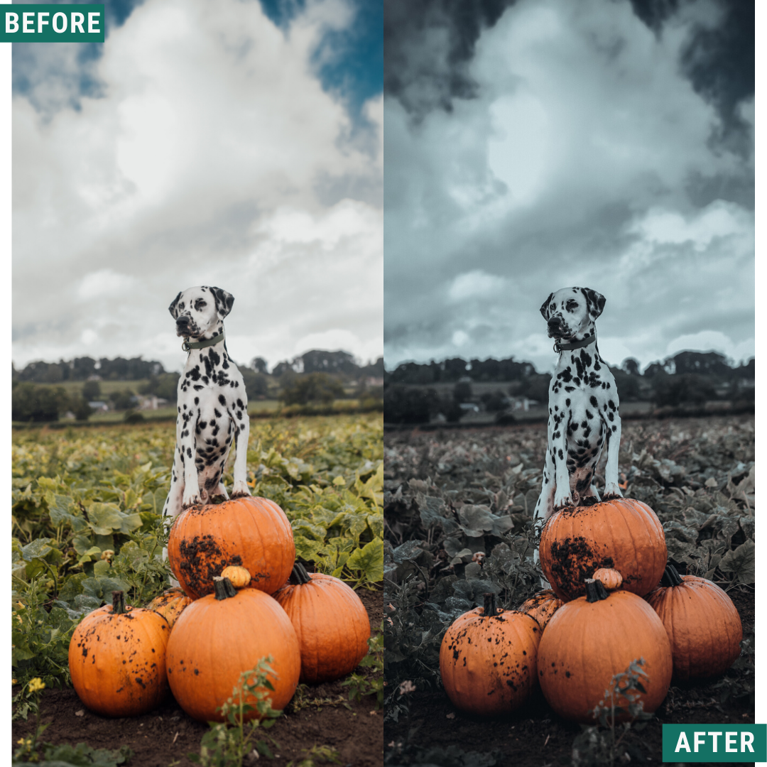 Spooky Tones Lightroom Presets Pack