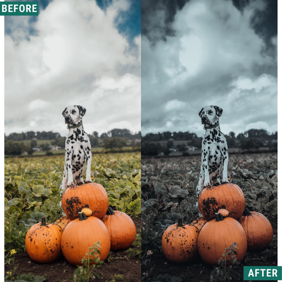 Spooky Tones LIMITED Lightroom Presets Pack