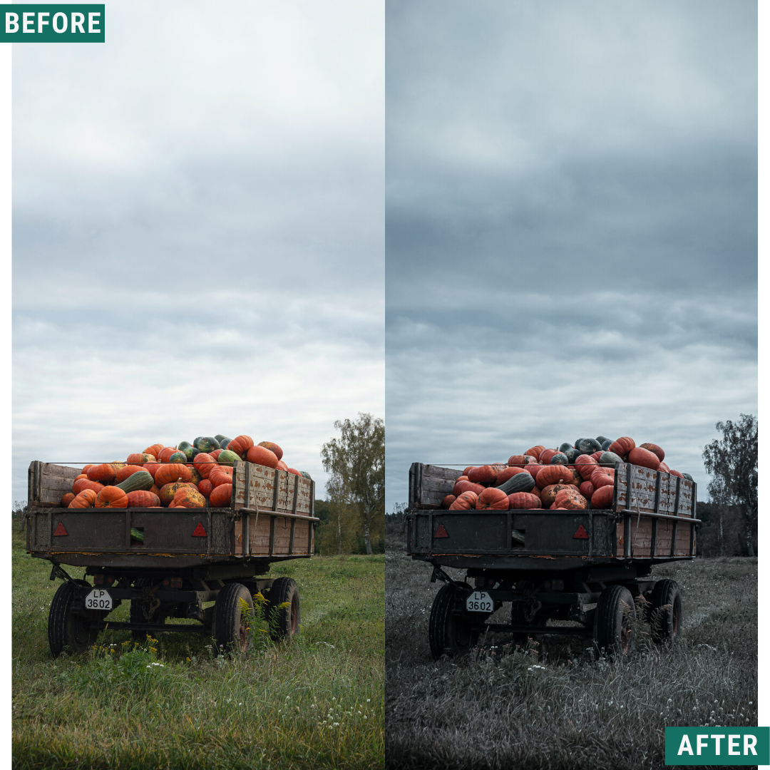 Spooky Tones Lightroom Presets Pack