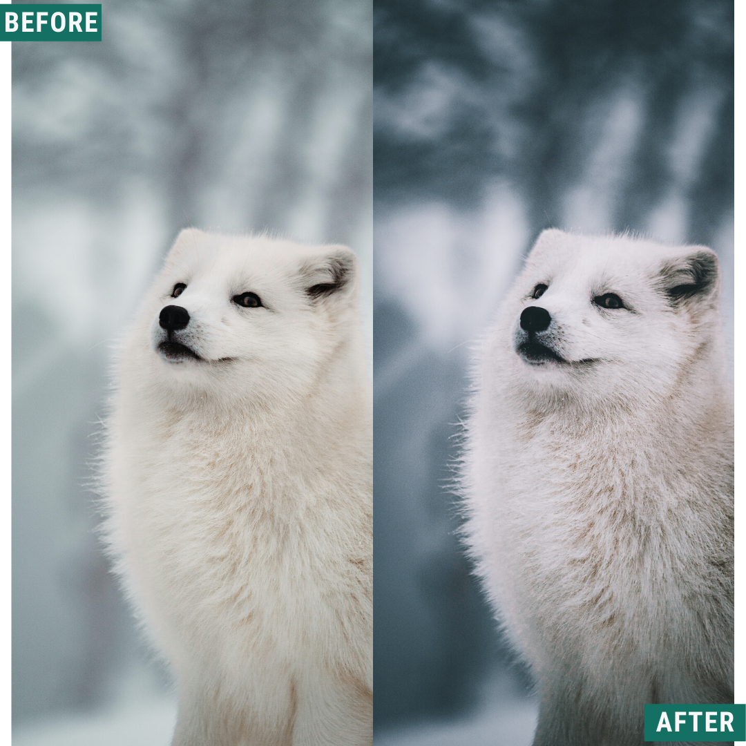 Glacial Blues Lightroom-Presets-Paket