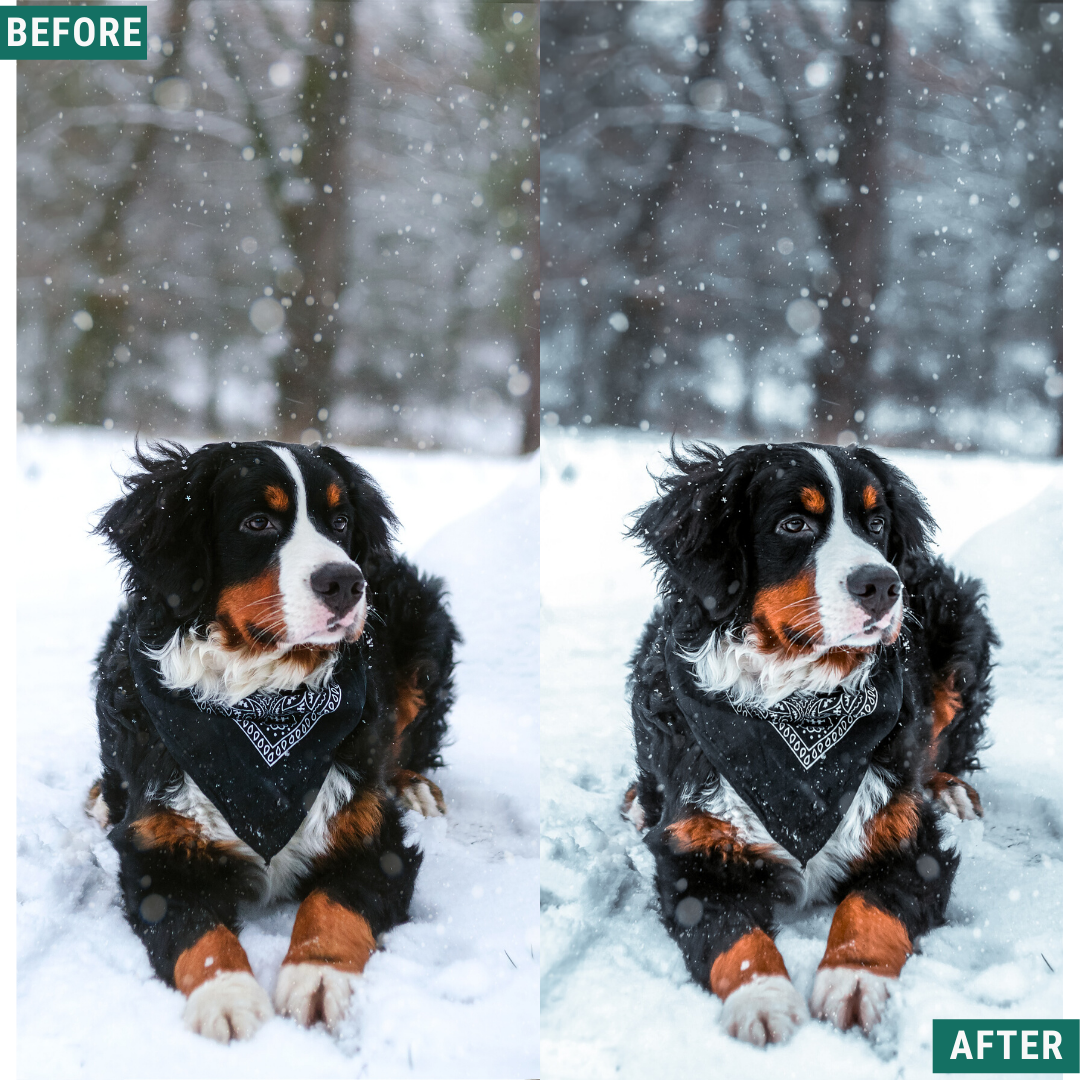 Frosty Blues Lightroom Presets Pack