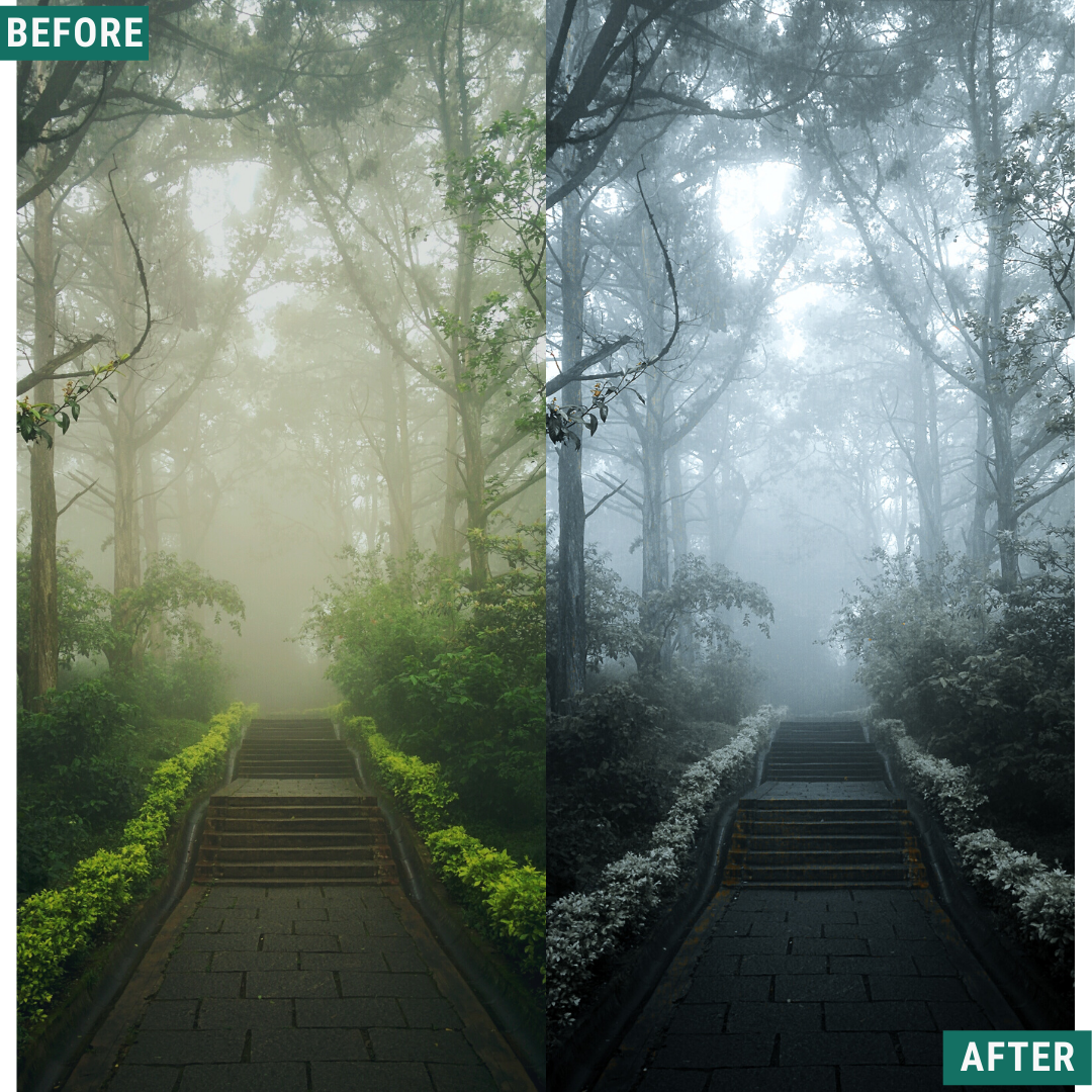 Moody Forest Capture One & LUT Presets Paket