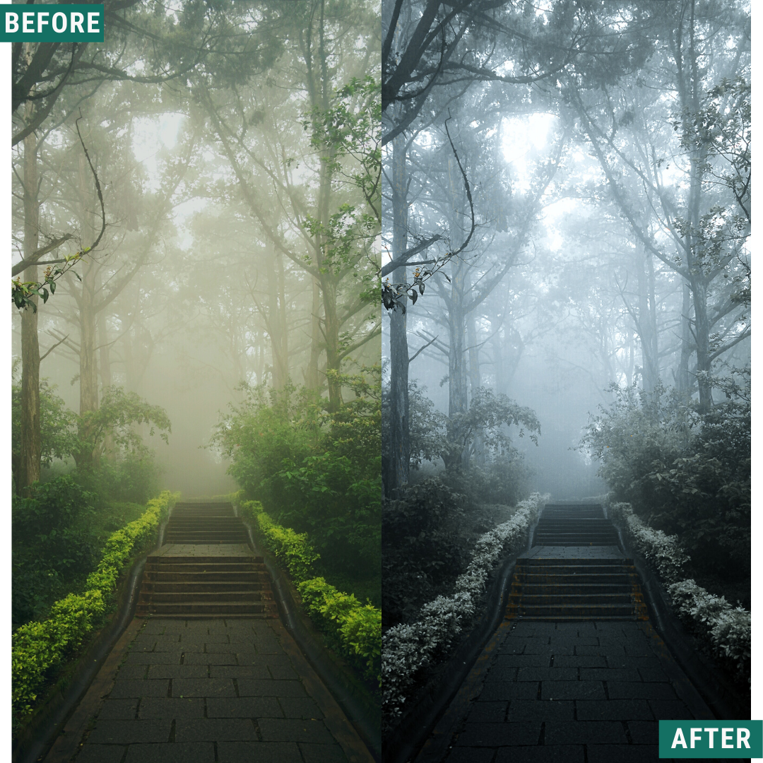 Moody Forest Capture One & LUT Presets Pack