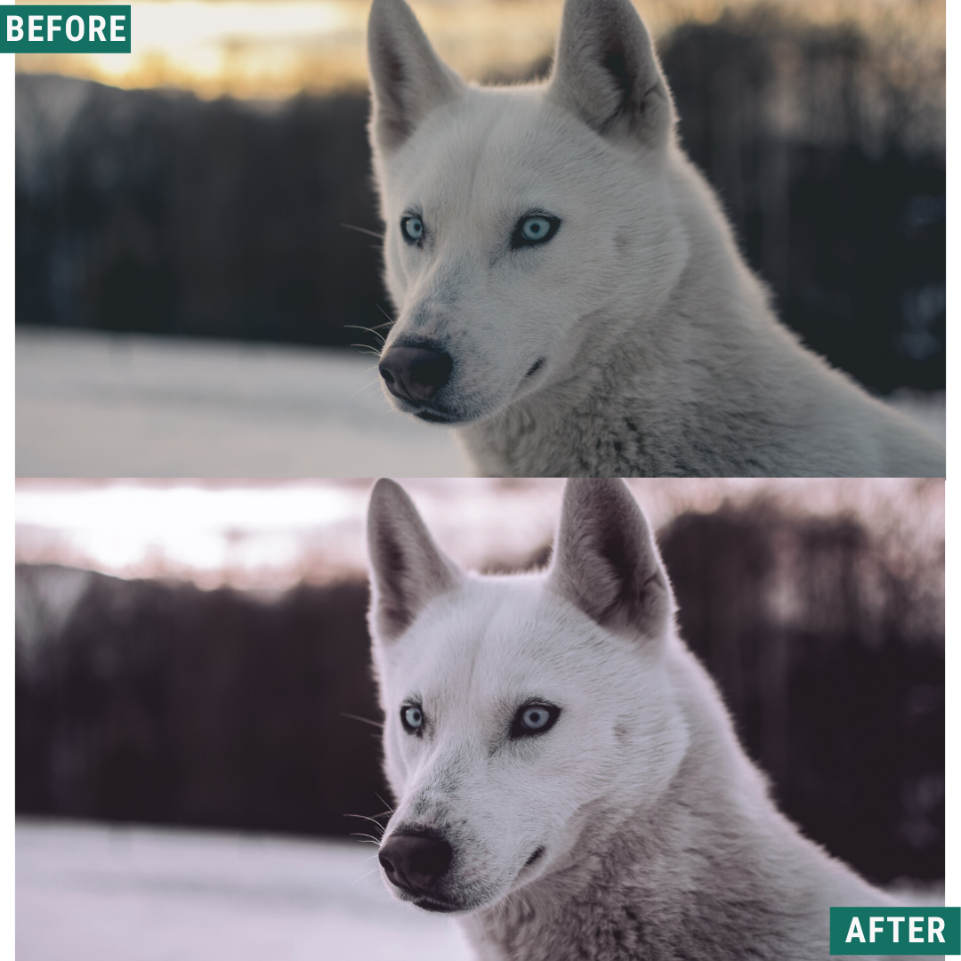 Cryptic Blue Hour Lightroom Presets Pack