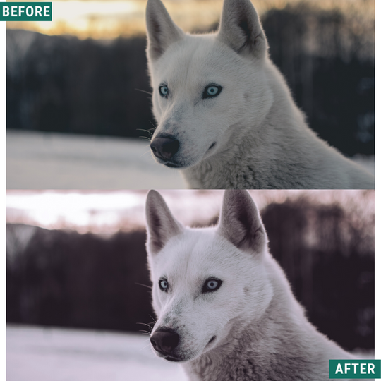 Cryptic Blue Hour Lightroom Presets Pack