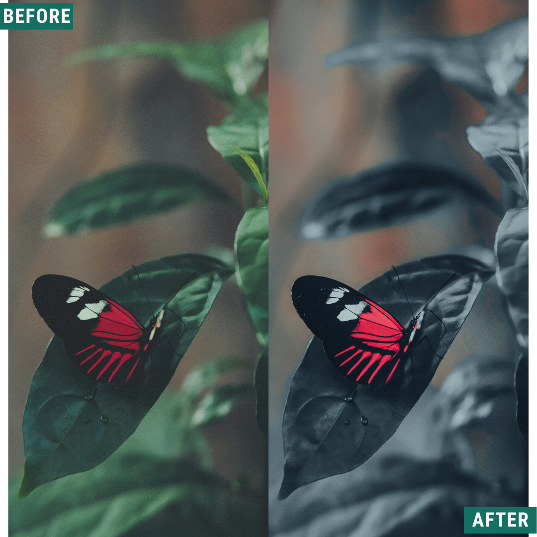 Deep Blues Lightroom-Presets-Paket