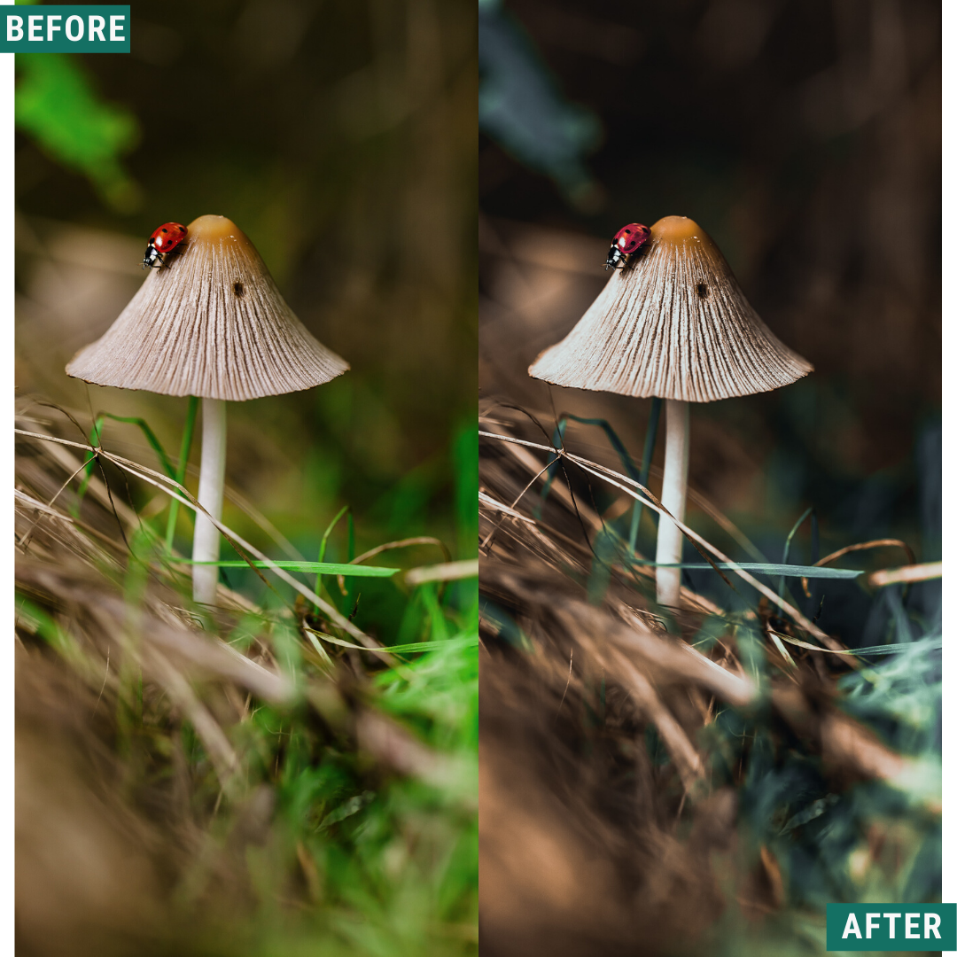 Dark Woods Lightroom-Presets-Paket