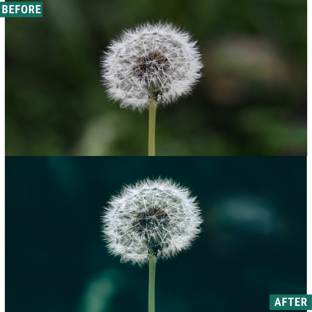 Deep Greens Lightroom Presets Pack