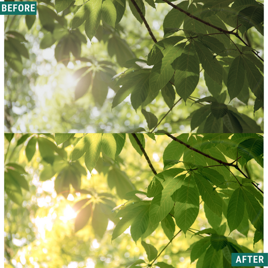 Bright Greens Lightroom-Presets-Paket