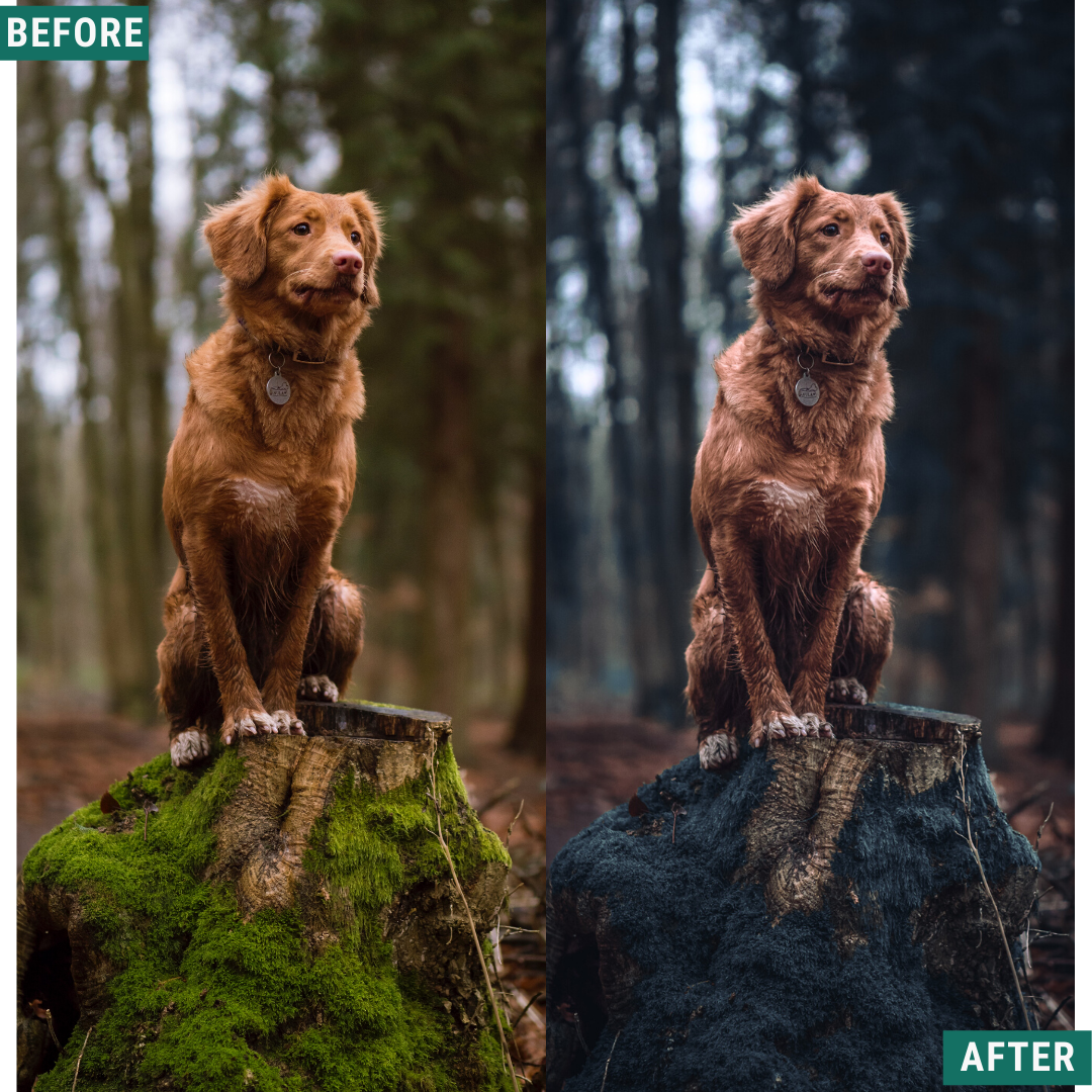 Deep Blues Lightroom-Presets-Paket