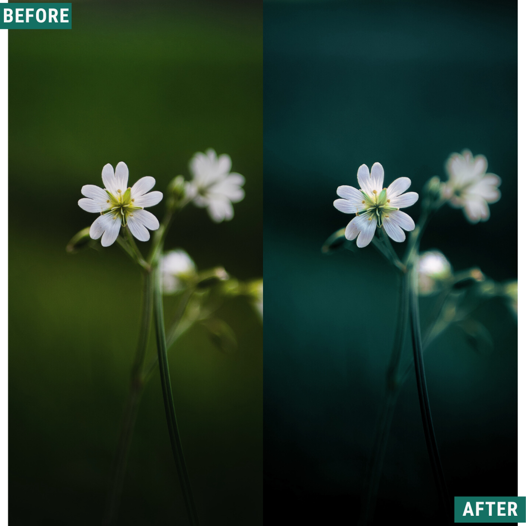 Deep Greens Lightroom-Presets-Paket