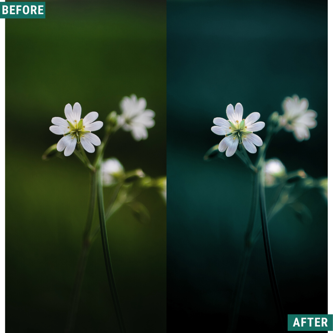 Deep Greens Lightroom Presets Pack