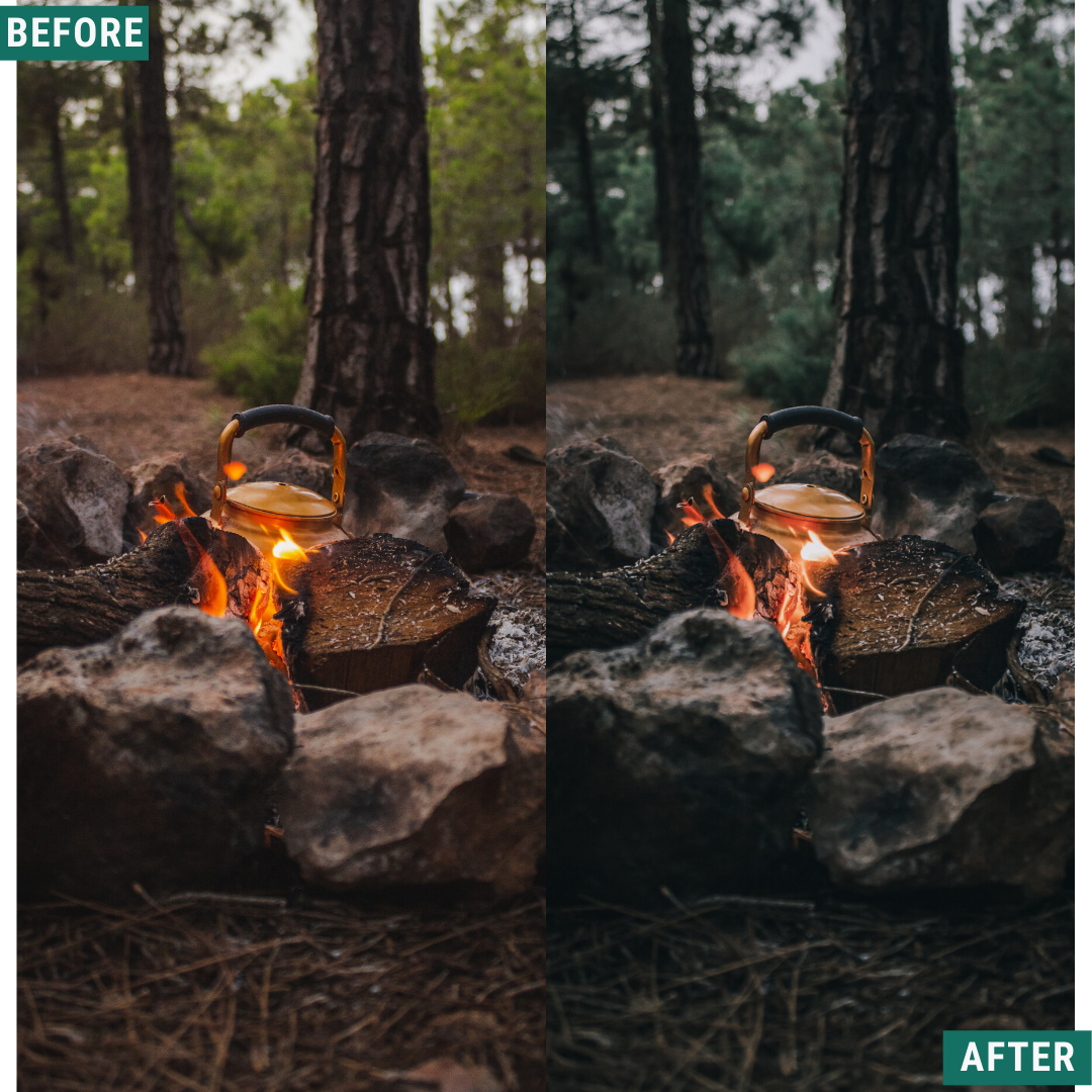 Dark Woods Capture One & LUT Presets Paket